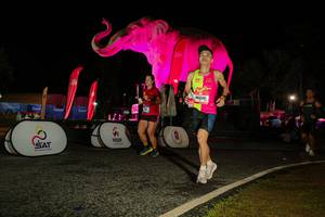 BIB: 
                            <button type="button" onclick="openModal(26534409)" class="btn btn-primary btn-sm float-right btn-popup" data-toggle="modal" data-target=".modal-high-quality">
                        <i class="fas fa-shopping-cart"></i> Add to Cart
                    </button>
                                            <button type="button" onclick="isThisMe(26534409, true)" class="btn btn-success btn-sm float-right btn-popup btn-isme hidden" data-toggle="tooltip" data-placement="bottom" title="นี่คือรูปของคุณใช่ไหม คลิกที่นี่เพื่อเอาเข้าอัลบั้ม">
                        <i class="fas fa-plus"></i> Add to album
                    </button>
                    <button type="button" onclick="isThisMe(26534409, false)" class="btn btn-warning btn-sm float-right btn-popup btn-isnotme hidden">
                        <i class="fas fa-ban"></i> Remove from album
                    </button>